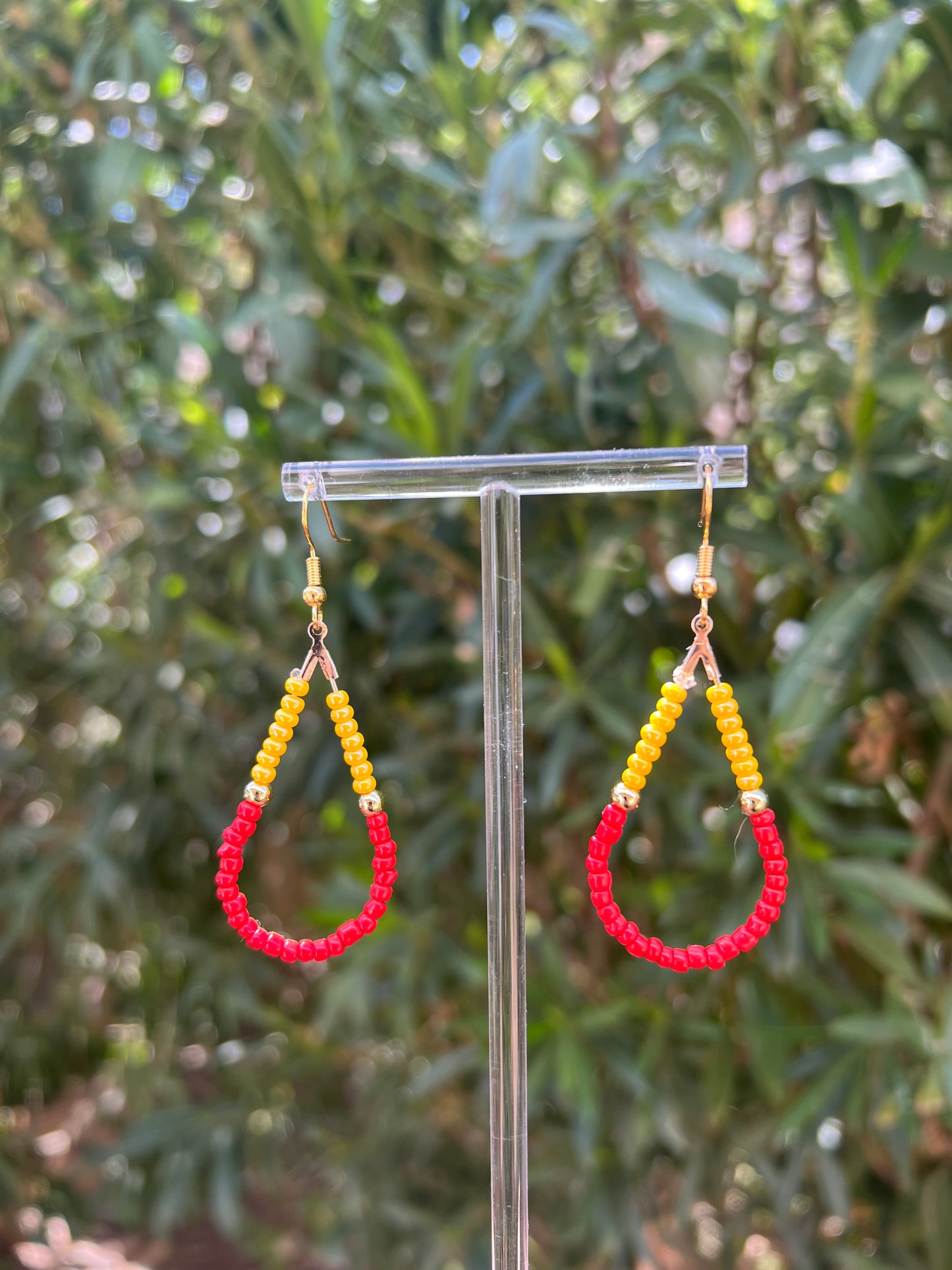 House G Earrings